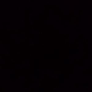 Meet your Posher, Brandalynn